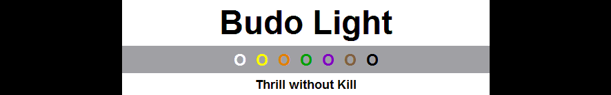 Budo Light Logo