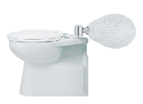 Flacon Toilet Bowl