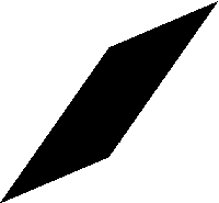 Raute